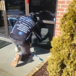 Window Cleaning